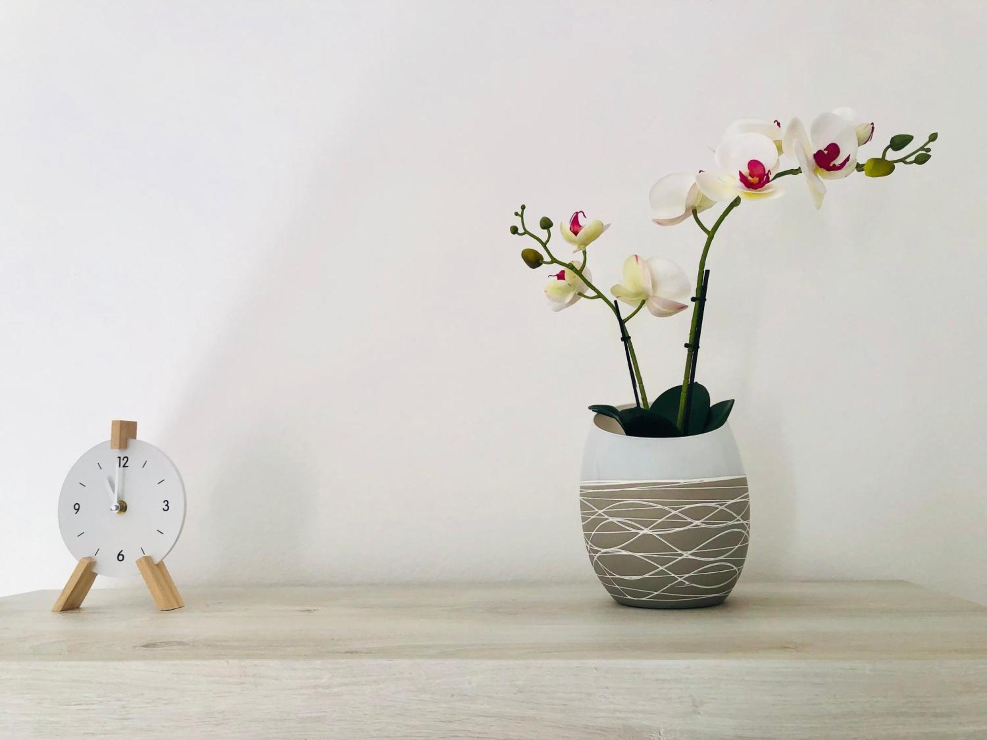 La Maison De Famille Appartamento Indipendente Con Cucina E Lavatrice 올비아 외부 사진